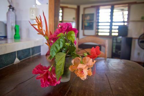 Apartamento Colibri House