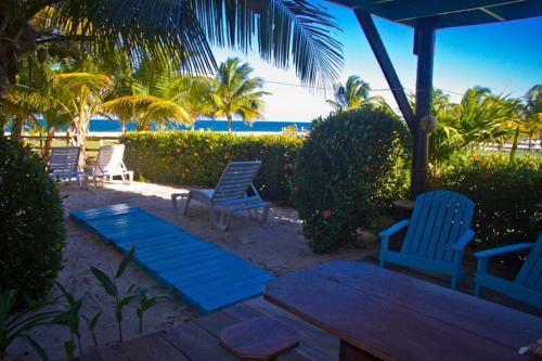 Apartamento Colibri House