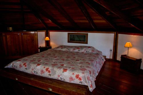 Apartamento Colibri House