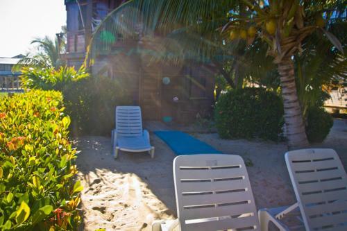 Apartamento Colibri House