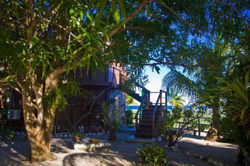Apartamento Colibri House