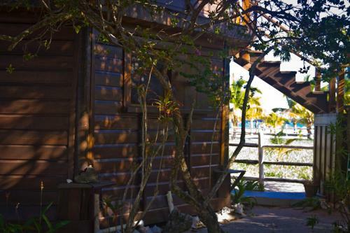 Apartamento Colibri House