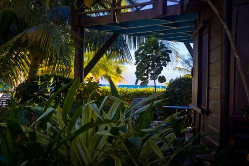 Apartamento Colibri House