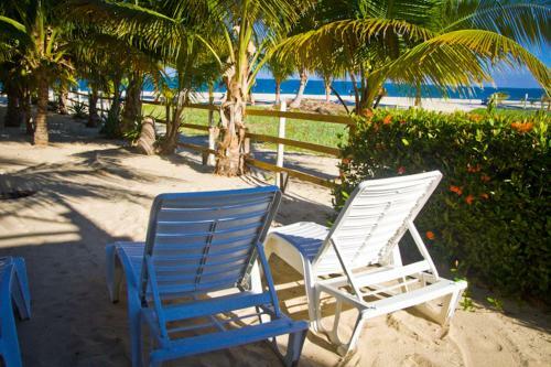 Apartamento Colibri House