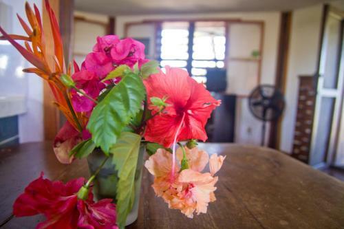Apartamento Colibri House