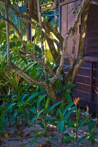 Apartamento Colibri House