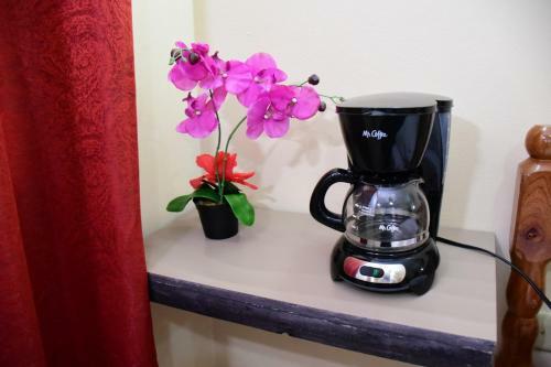 Hostal Bella Sombra Guest House Downtown