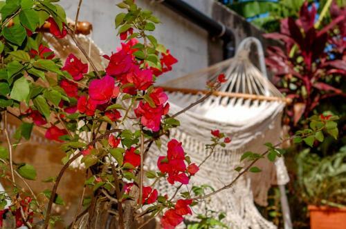 Hostal Casa Lucia