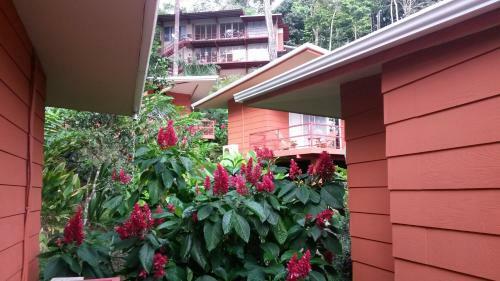Mar Y Selva Ecolodge