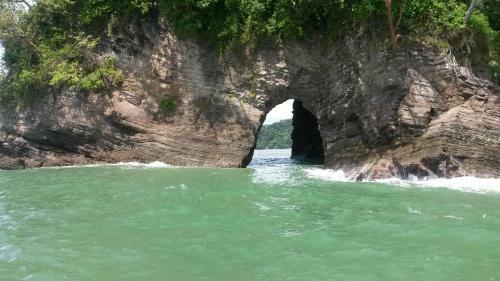 Mar Y Selva Ecolodge