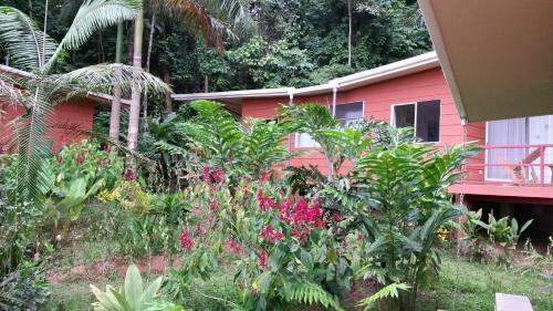 Mar Y Selva Ecolodge