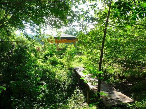 Bed & Breakfast Finca Cantarana
