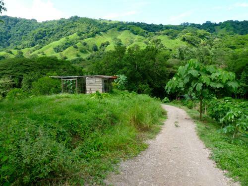 Bed & Breakfast Finca Cantarana