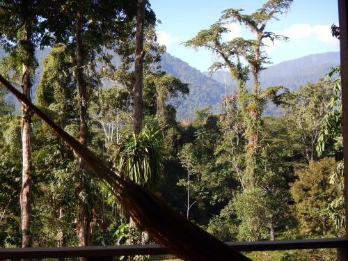 Selva Bananito Lodge