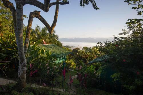 Lodge Mirador Osa