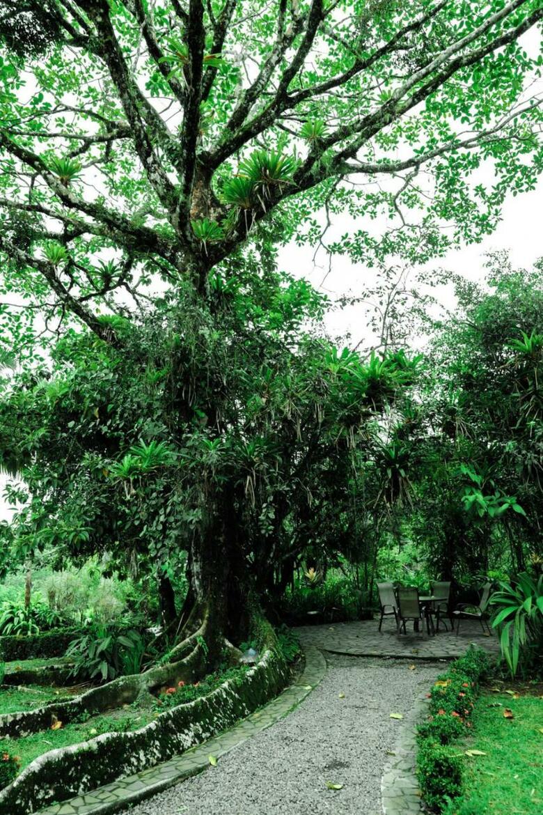 Hotel Sarapiquis Rainforest Lodge