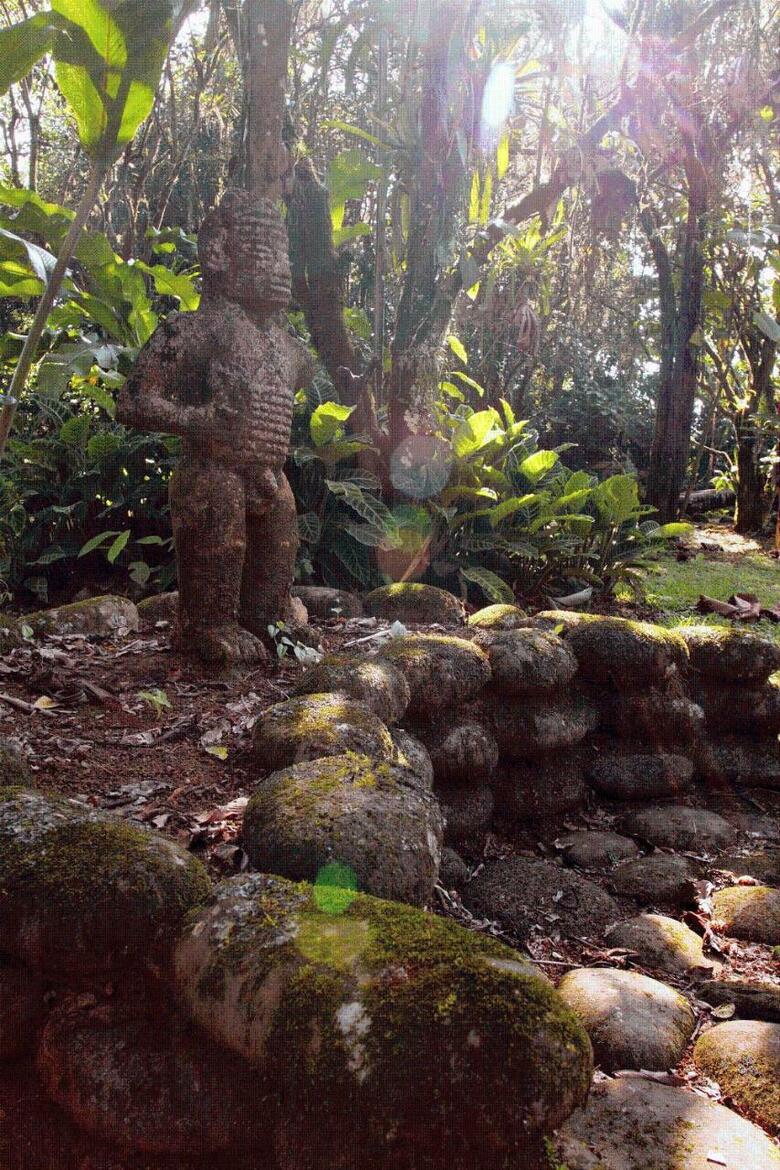 Hotel Sarapiquis Rainforest Lodge