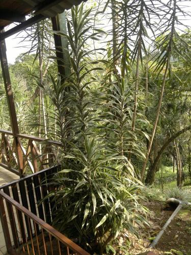 Finca Villa Tina Lodge