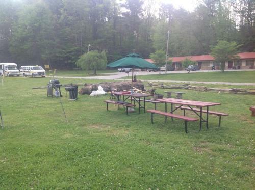 Qualla Cabins And Motel
