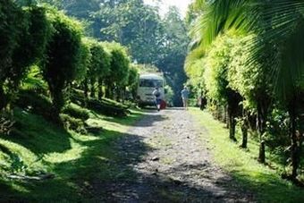 Hotel Ara Ambigua Lodge