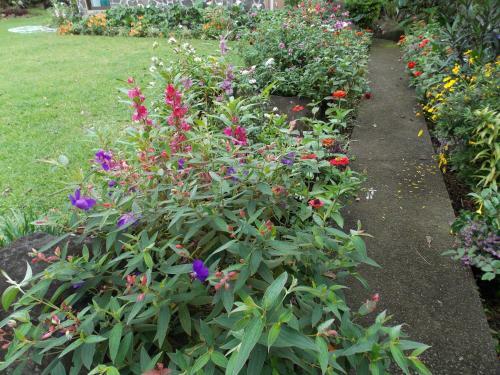 Bed & Breakfast Hotel Las Orquideas