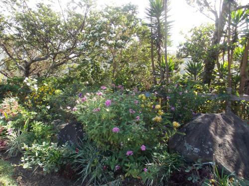 Bed & Breakfast Hotel Las Orquideas
