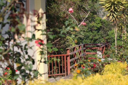 Bed & Breakfast Hotel Las Orquideas