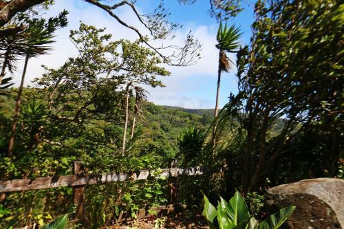 Bed & Breakfast Hotel Las Orquideas