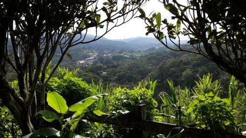 Bed & Breakfast Hotel Las Orquideas