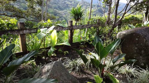 Bed & Breakfast Hotel Las Orquideas