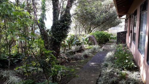 Bed & Breakfast Hotel Las Orquideas
