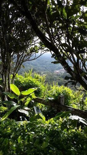 Bed & Breakfast Hotel Las Orquideas