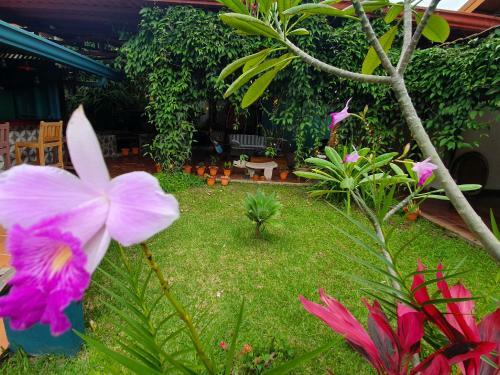 Turrialba Bed & Breakfast
