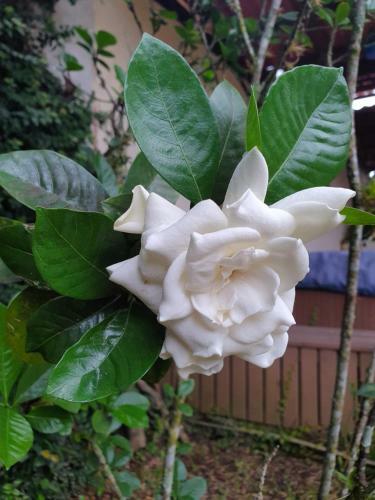 Turrialba Bed & Breakfast
