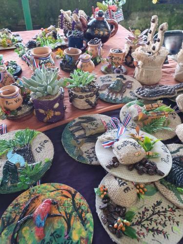 Turrialba Bed & Breakfast
