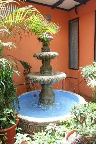 Turrialba Bed & Breakfast