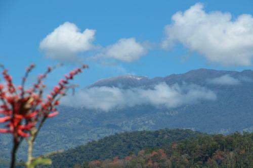 Finca Monte Claro