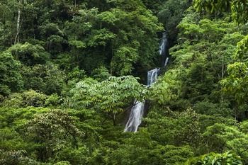 Hostal Hotel Quelitales