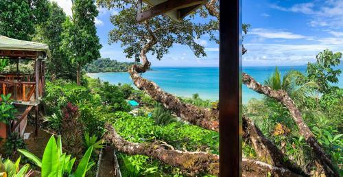 Las Cotingas Lodge