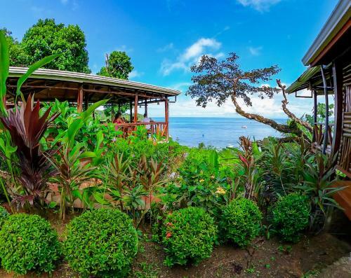 Las Cotingas Lodge