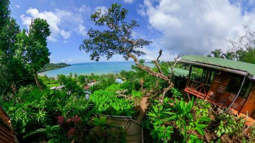 Las Cotingas Lodge