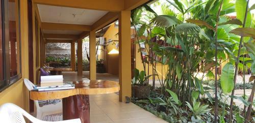 Hotel Cabinas Pura Vida