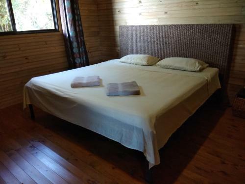 Apartamento Carpediem Montezuma House