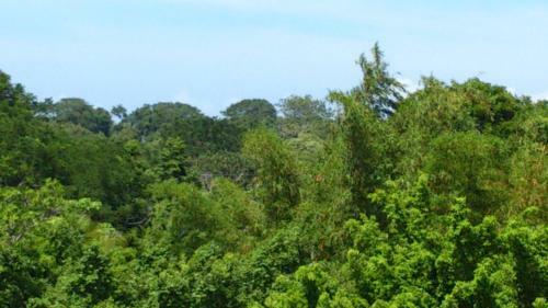 Apartamento Carpediem Montezuma House