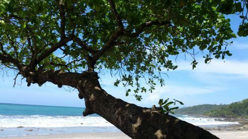 Apartamento Carpediem Montezuma House