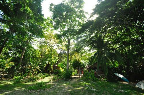 Apartamento Howler Monkey Hotel