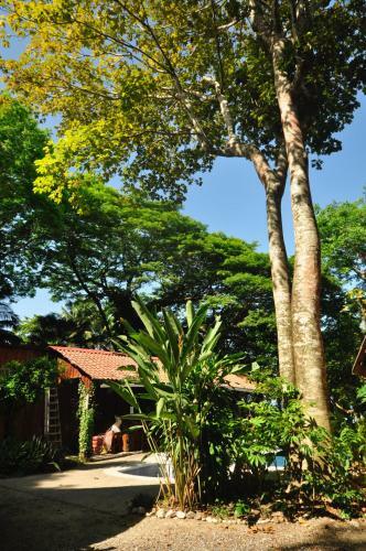 Apartamento Howler Monkey Hotel