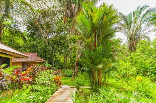Bed & Breakfast Hotel El Mono Feliz