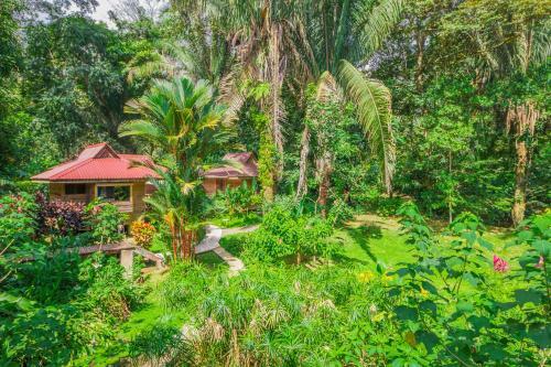 Bed & Breakfast Hotel El Mono Feliz