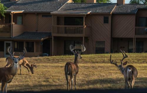 Cypress Fairway Village 2